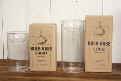 水栽培用ガラス花瓶 BULB VASE ロング