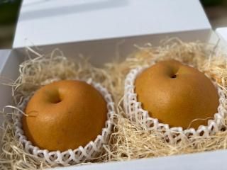 New<> Ȣ2̡1700800g2Ȣ1.3kg١ˤ⡪<10ܡ11ܡ>