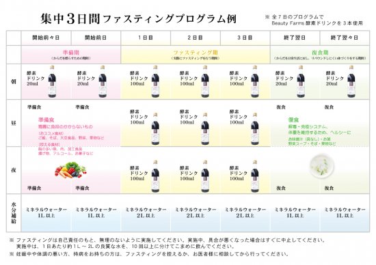 42120結 酵素ドリンク ファスティングスケジュール付き - その他