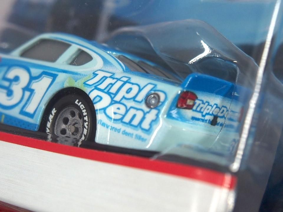 TERRY KARGAS (TRIPLE DENT No.31) 2020