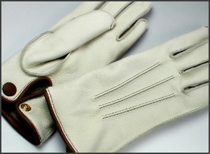 ɥ쥹֡Dress Gloves