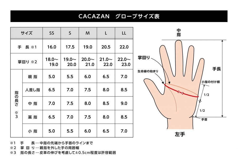 CACAZAN DDR-071RR