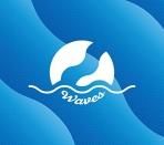 YOGEE NEW WAVES - WAVES(CD+DVD)