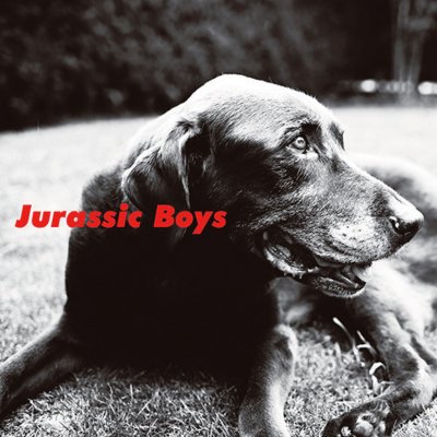 JURASSIC BOYS - Jurassic Boys (LP)