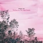 Sloppy Joe - Waiting For The Night Begins (LP+DL)