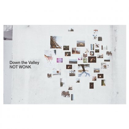 NOT WONK - Down the Valley (CASSETTE)