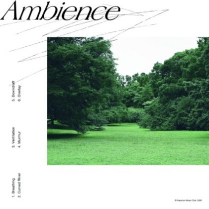 ѥ󲻳ڥ - AMBIENCE (LP)