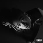 LITTLE SIMZ - GREY AREA  (LP)