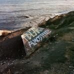 FIDLAR - ALMOST FREE (LP)