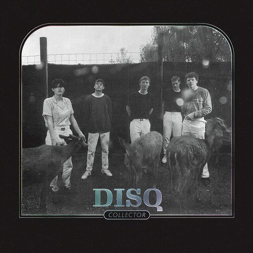 DISQ  - COLLECTOR (LP)