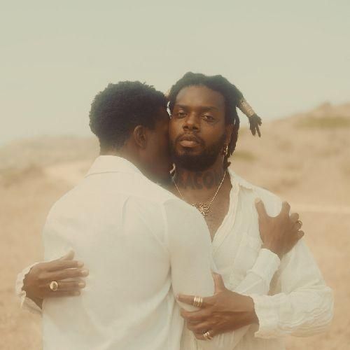 SERPENTWITHFEET - DEACON ( LP / OPAQUE BROWN VINYL)