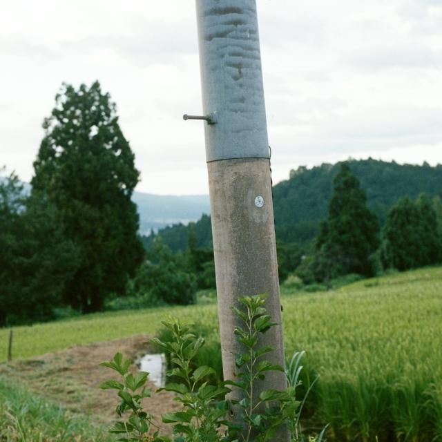 䥳 - ˤɤ(CD)