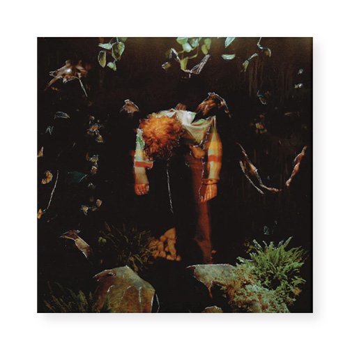 Cavetown - WORM FOOD( LP｜ Tangerine, Evergreen, Brown Stripes)