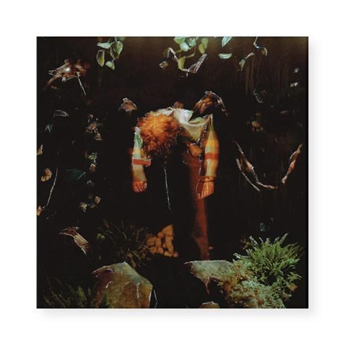 Cavetown - WORM FOOD( LP Tangerine, Evergreen, Brown Stripes)