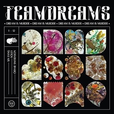 Sin Fang / Soley (Iceland)/ Orvar Smarason - Team Dreams (2LP)