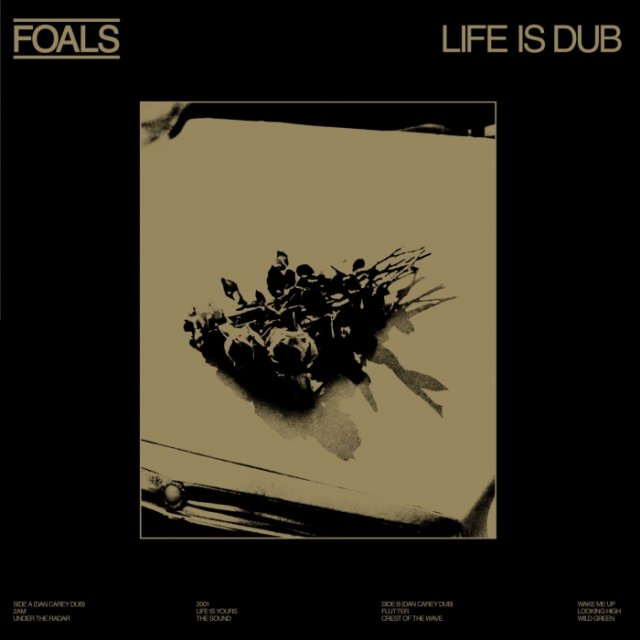 【RSD2023】FOALS - LIFE IS DUB(LP)