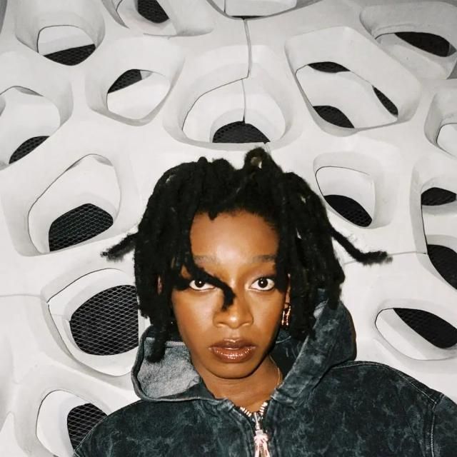 Little Simz - NO THANK YOU (LP)
