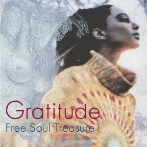 V.A. - Gratitude 〜 SUBURBIA meets ULTRA-VYBE "Free Soul Treasure 1" (LP | 限定生産盤)