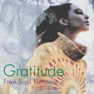 V.A. - Gratitude  SUBURBIA meets ULTRA-VYBE "Free Soul Treasure 2" (LP | )