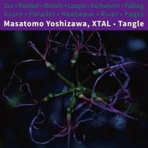 襷"ꥹ"ޥȥ  XTAL - Tangle (CASSETTEø)