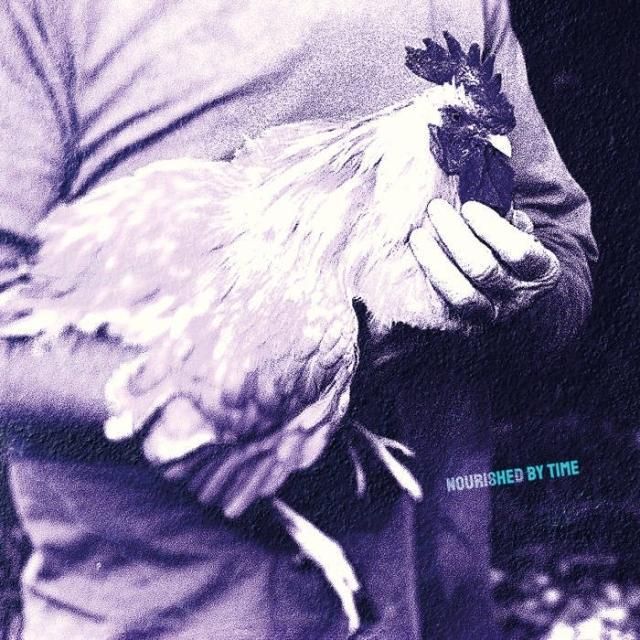 Nourished by Time - Catching Chickens (12"ÿ̸)