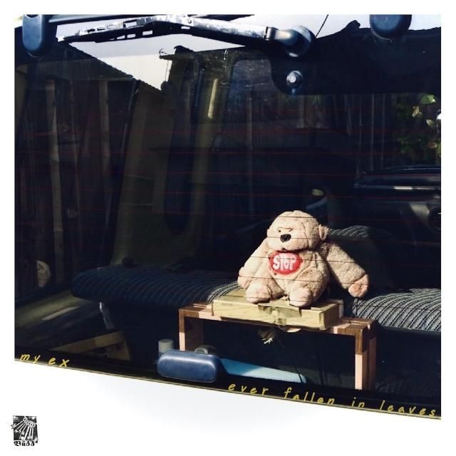 my ex - ever fallen in leaves (CD)