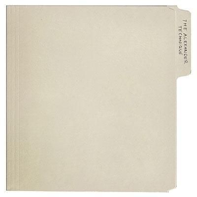 Rex Orange County - The Alexander Technique (2LPMarbled Vinyl)
