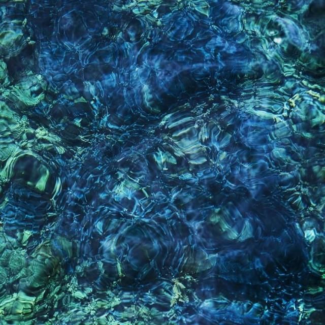 ջԻ - Luminescent Creatures (LP)