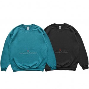 <img class='new_mark_img1' src='https://img.shop-pro.jp/img/new/icons5.gif' style='border:none;display:inline;margin:0px;padding:0px;width:auto;' />HORRIBLE'S PROJECT WITCH CREWNECK SWEAT /  (ホリブルズ プロジェクト クルーネック スウェット)