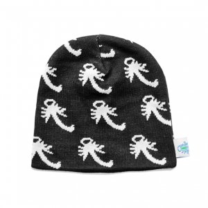 <img class='new_mark_img1' src='https://img.shop-pro.jp/img/new/icons5.gif' style='border:none;display:inline;margin:0px;padding:0px;width:auto;' />CASTLE SCORPION BEANIE / BLACK (キャッスル/ビーニー)