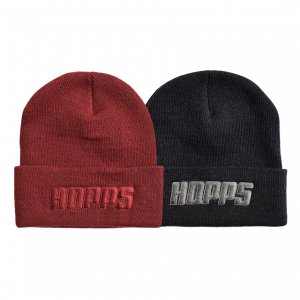 <img class='new_mark_img1' src='https://img.shop-pro.jp/img/new/icons5.gif' style='border:none;display:inline;margin:0px;padding:0px;width:auto;' />HOPPS BIGHOPPS EMBROIDERED BEANIE / (ホップス ビーニーキャップ)