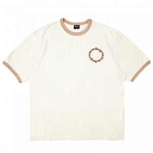 <img class='new_mark_img1' src='https://img.shop-pro.jp/img/new/icons5.gif' style='border:none;display:inline;margin:0px;padding:0px;width:auto;' />QUASI CALICO RINGER TEE / ASH (クアジ Tシャツ/半袖)