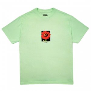 <img class='new_mark_img1' src='https://img.shop-pro.jp/img/new/icons5.gif' style='border:none;display:inline;margin:0px;padding:0px;width:auto;' />5BORO FLOWER TEE / MINT (ファイブボロ/Tシャツ)