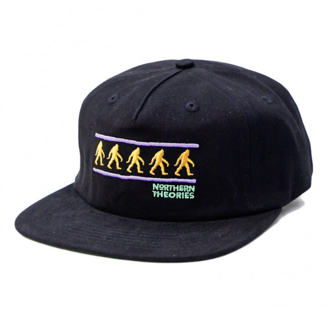 <img class='new_mark_img1' src='https://img.shop-pro.jp/img/new/icons5.gif' style='border:none;display:inline;margin:0px;padding:0px;width:auto;' />THEORIES NORTHERN THEORIES SNAPBACK HAT / BLACK（セオリーズ  スナップバックキャップ/5パネルキャップ）