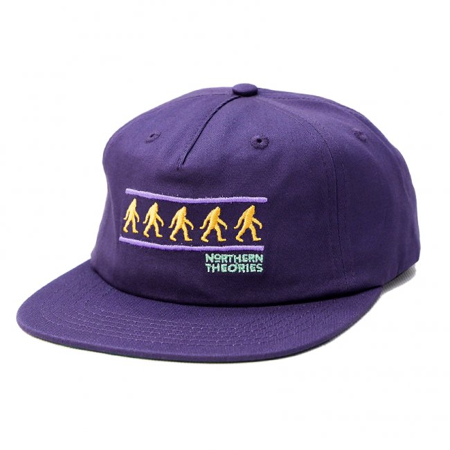 <img class='new_mark_img1' src='https://img.shop-pro.jp/img/new/icons5.gif' style='border:none;display:inline;margin:0px;padding:0px;width:auto;' />THEORIES NORTHERN THEORIES SNAPBACK HAT / PLUM（セオリーズ  スナップバックキャップ/5パネルキャップ）