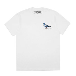 <img class='new_mark_img1' src='https://img.shop-pro.jp/img/new/icons5.gif' style='border:none;display:inline;margin:0px;padding:0px;width:auto;' />ANTIHERO LIL PIGEON T-SHIRT / WHITE (ҡ/ T)