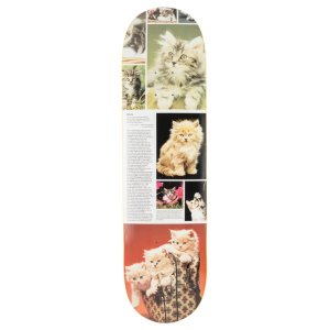 <img class='new_mark_img1' src='https://img.shop-pro.jp/img/new/icons5.gif' style='border:none;display:inline;margin:0px;padding:0px;width:auto;' />STUDIO Cat Book Kittens DECK / 8"× 31.58" (ストゥディオ スケートデッキ)