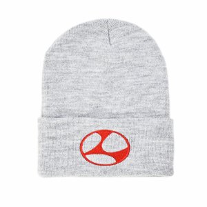 <img class='new_mark_img1' src='https://img.shop-pro.jp/img/new/icons1.gif' style='border:none;display:inline;margin:0px;padding:0px;width:auto;' />LIMOSINE LIMO LOGO BEANIE / GREY x RED (リモジン ビーニーキャップ)