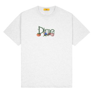 <img class='new_mark_img1' src='https://img.shop-pro.jp/img/new/icons5.gif' style='border:none;display:inline;margin:0px;padding:0px;width:auto;' />Dime Cactus T-Shirt / ASH ( T / Ⱦµ)