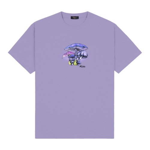 <img class='new_mark_img1' src='https://img.shop-pro.jp/img/new/icons5.gif' style='border:none;display:inline;margin:0px;padding:0px;width:auto;' />Dime Poison T-Shirt / Stone Lilac ( T / Ⱦµ)