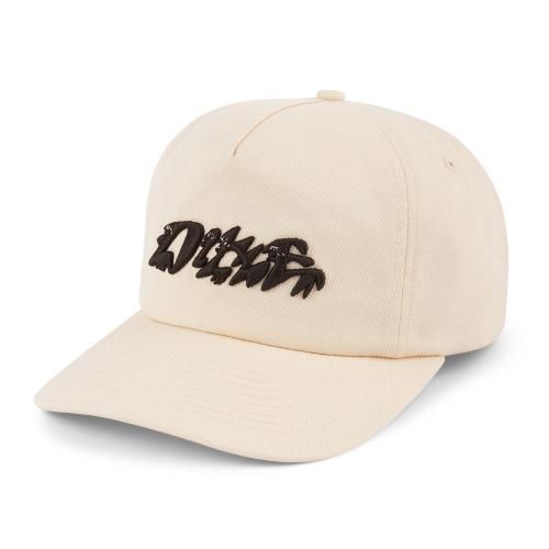 CAP - HORRIBLE'S PROJECT｜HORRIBLE'S｜Dime MTL | Polar Skate