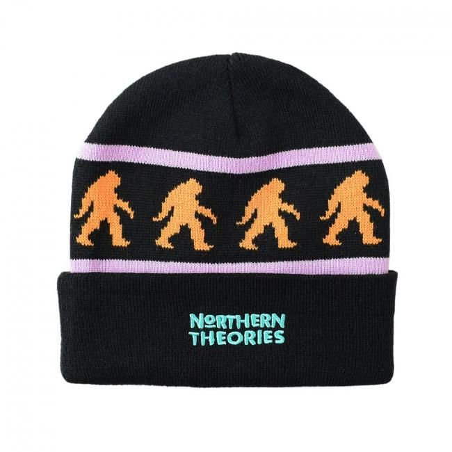 【送料込】 THEORIES BLACK（セオリーズ / BEANIE THEORIES NORTHERN 帽子