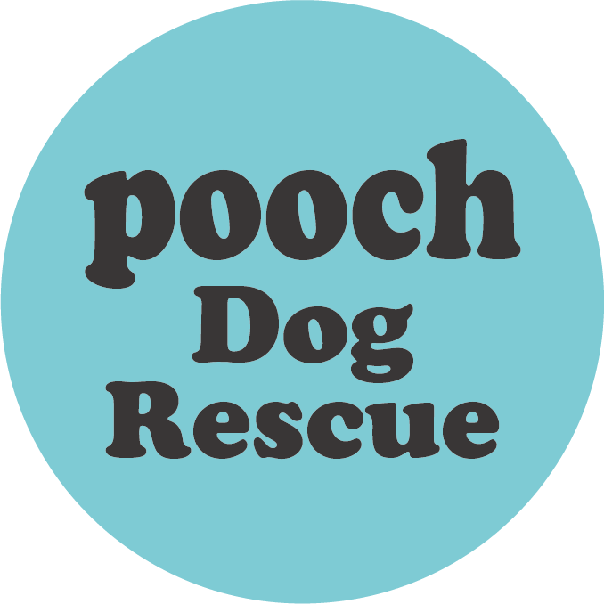 Pooch Dog Rescue Charity Shop