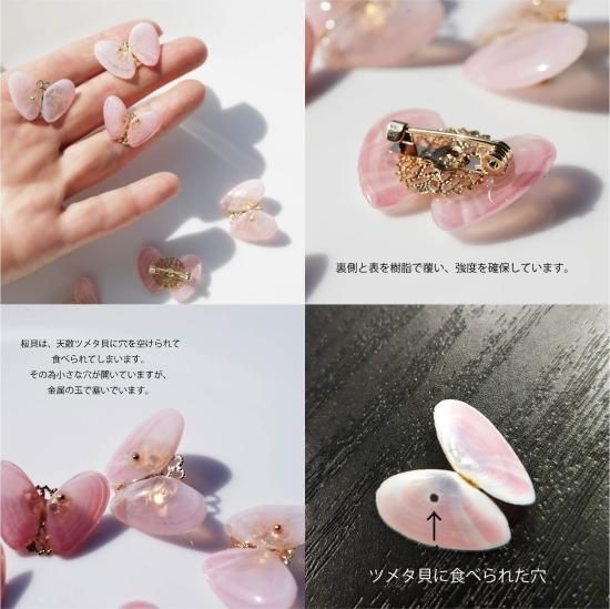 桜貝による蝶のブローチ ～胡蝶の夢