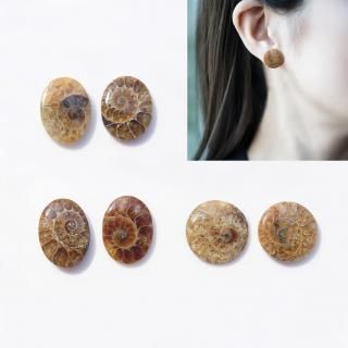 <img class='new_mark_img1' src='https://img.shop-pro.jp/img/new/icons14.gif' style='border:none;display:inline;margin:0px;padding:0px;width:auto;' />��������Ρ����٤�������ʥ��Ȥβ��Фˤ��ԥ����������󥰡���Ammonite