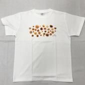 ΤʤᤳTġ<img class='new_mark_img2' src='https://img.shop-pro.jp/img/new/icons15.gif' style='border:none;display:inline;margin:0px;padding:0px;width:auto;' />
