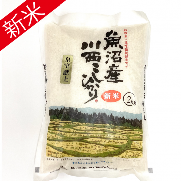 わた様　予約分　魚沼 きおとし 令和7年産 魚沼産川西こしひかり 2kg - オンライン