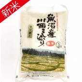 Ȥ7ǯ »Ҥꡡ2<img class='new_mark_img2' src='https://img.shop-pro.jp/img/new/icons15.gif' style='border:none;display:inline;margin:0px;padding:0px;width:auto;' />