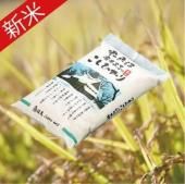 7ǯٻ֤ε»ҥꡡ3kg<img class='new_mark_img2' src='https://img.shop-pro.jp/img/new/icons15.gif' style='border:none;display:inline;margin:0px;padding:0px;width:auto;' />