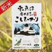 7ǯٻ֤ε»ҥꡡ2kg<img class='new_mark_img2' src='https://img.shop-pro.jp/img/new/icons15.gif' style='border:none;display:inline;margin:0px;padding:0px;width:auto;' />